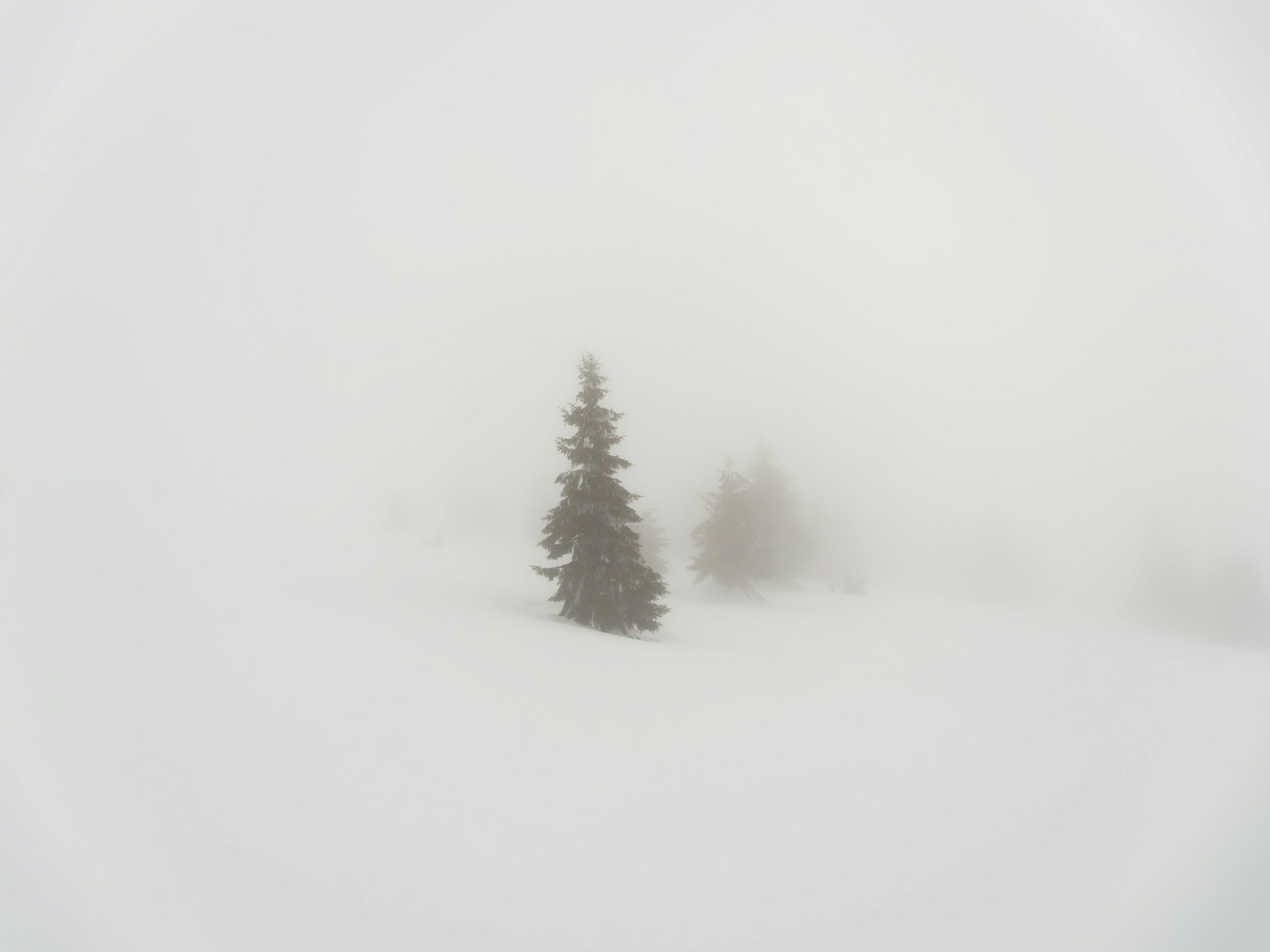 Come scegliere la tinta giusta per migliorare il contrasto con la maschera da sci in caso di neve piatta e nebbia